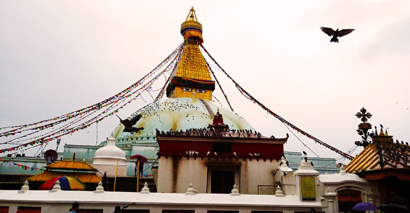  bouddhanath-stupa-ktm-tour 